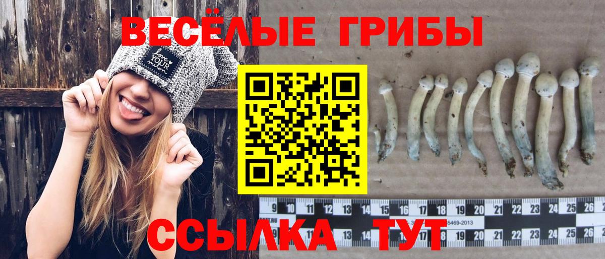 Псилоцибиновые грибы GOLDEN TEACHER  Галлюциногенные грибы мухоморы  даркнет сайт  Новочебоксарск  Вход с VPN 
